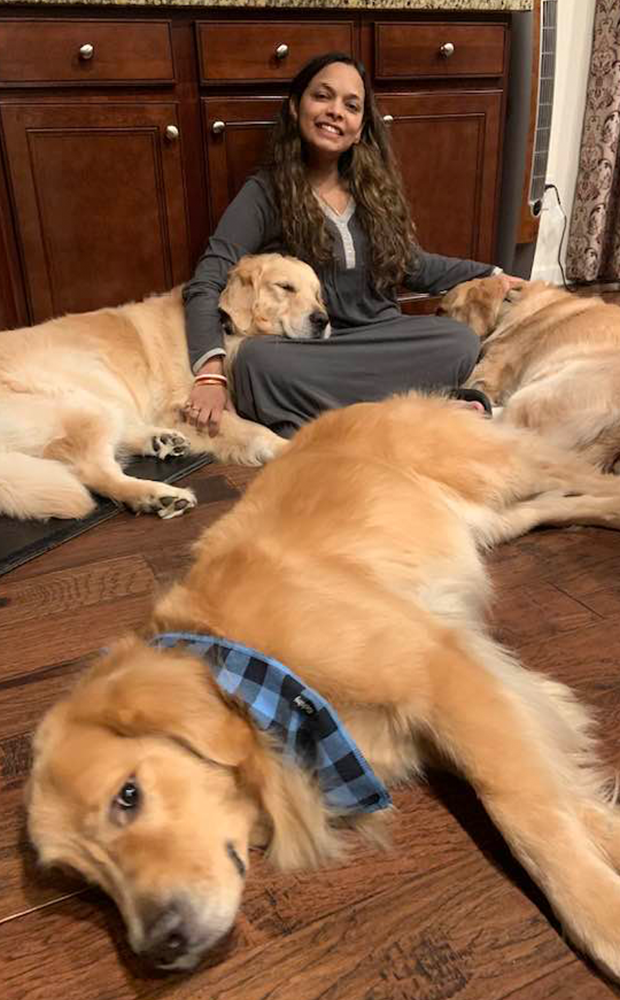 1 Buddies Overnight Sitter with Three Golden Retrievers