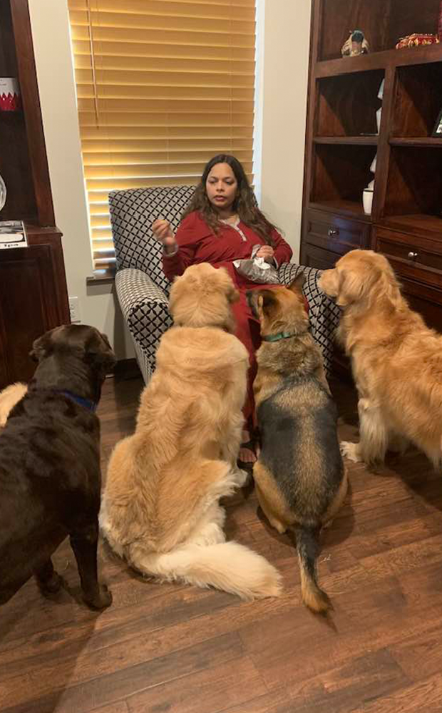 Buddies Pet Sitter with Four Dogs During an Overnight Stay